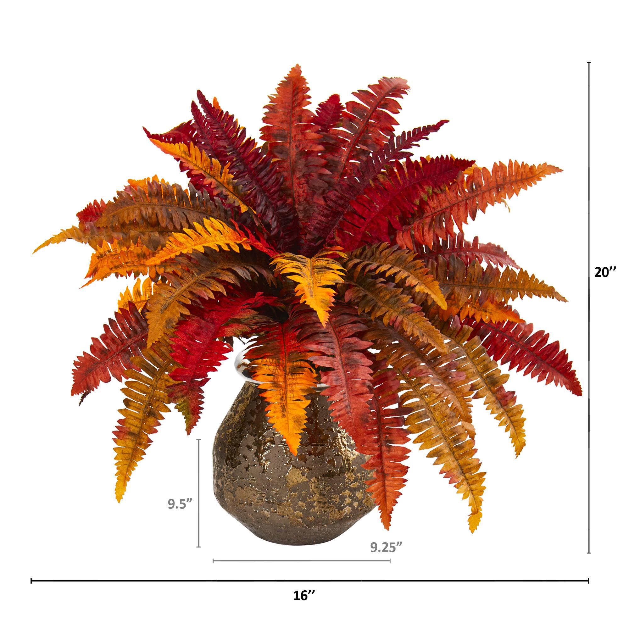20" Autumn Boston Fern Plant in Decorative Planter